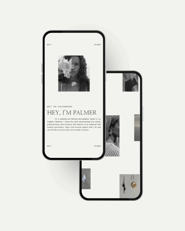 Palmer Website Template - Image 4