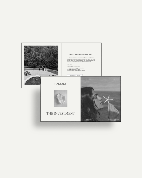 Palmer Website Template - Image 3