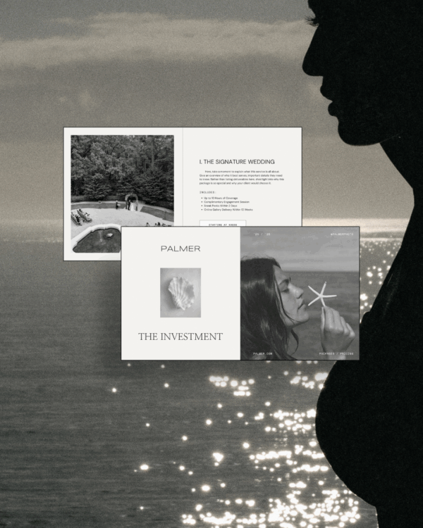 Palmer Website Template - Image 2