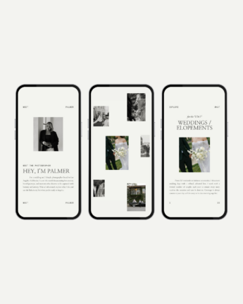 Palmer Canva Instagram Story Templates
