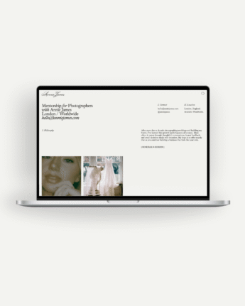 Annie Showit Mentorship Page